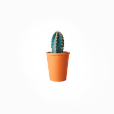 일반식품 하위분류3